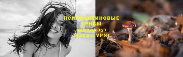 мяу мяу мука Кодинск