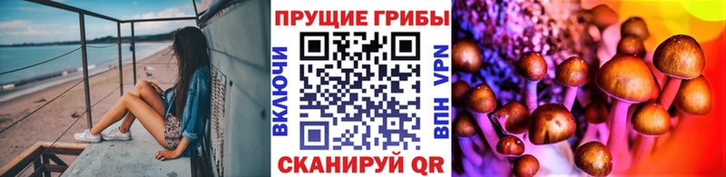 KRAKEN tor Яранск Галлюциногенные грибы мицелий